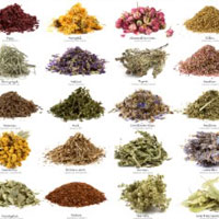 magickal herbs